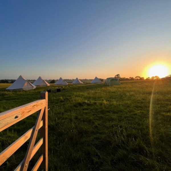Three Single Bed Tent
